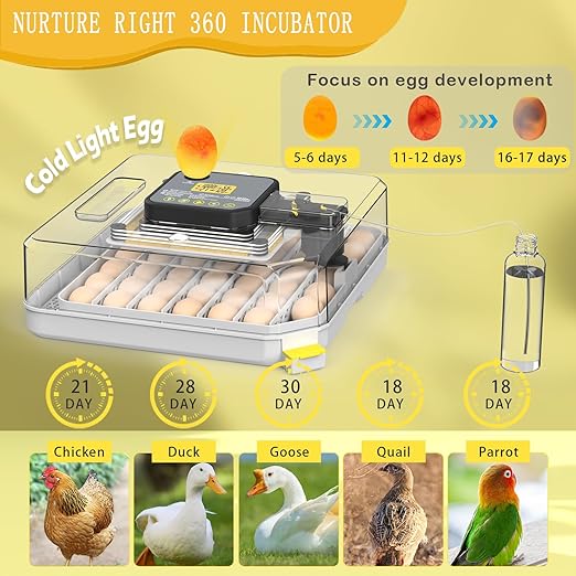 Incubators for Hatching Eggs 48 Egg Incubator with Automatic Turning and Humidity Control for Chicken Duck, Egg Candler for Chicken Eggs Goose Incubator Duck Quail Chick for Hatching Poultry (Grey) - Image 4