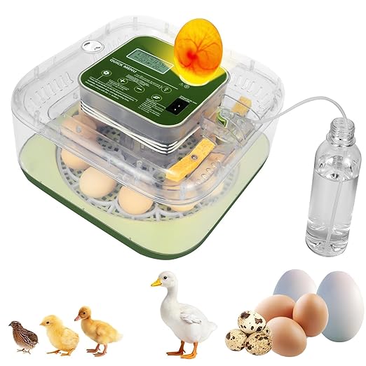 4th Gen – 12 Egg Fully Automatic Incubator, 2026 Upgraded Design, Intelligent Sensor-Based Humidity & Temp Control, Custom Hatch Days, Adjustable Auto Turnn with Auto-Stop, 360° View, Alarm, Candler by Unknown