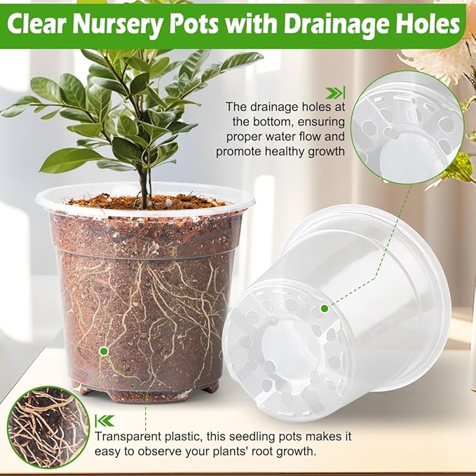 6 Inch Clear Nursery Pots with Humidity Dome, 15 Pack Durable Seed Starting Pot with Drainage Holes, Transparent Plastic Plant Seedling Pots for Indoor Gardening Plants - Image 3