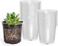 60 Packs 3.5 Inch Reinforced Clear Nursery Pots with Drainage Holes, Transparent Plastic Plant Pot Seedling Planter for Vegetable Propagation, Root Cutting, Seed Starting by Bluepro
