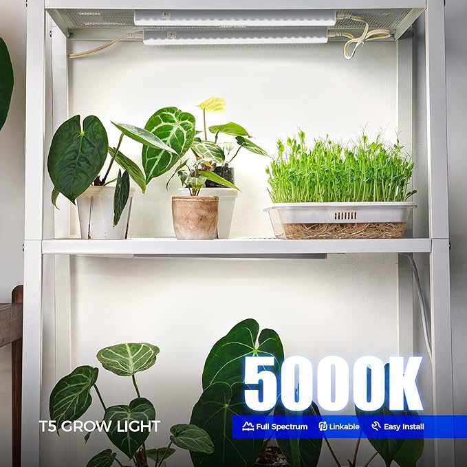 Barrina T5 Grow Lights for Indoor Plants, 5000K Full Spectrum, 1FT LED Growing Lamp, Plant Light Strip, for Seed Starting, Vegetables, Plug and Play, 4-Pack - Image 2