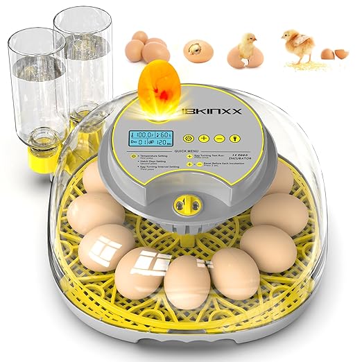 Incubator for Hatching Eggs-12 Egg Capacity, Automatic Egg Turner, Temperature & Humidity Control, 360° Viewing for Chicken, Duck and Quail Eggs by IBKINXX