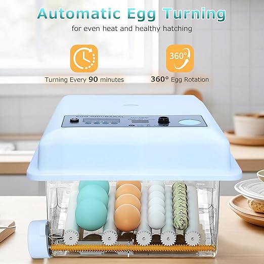 Incubators for Hatching Eggs 16 Egg Automatic Egg Incubator with Temperature Control Humidity Control and Display for Goose Chicken Duck Quail Pigeon Eggs Auto Turner,Light Blue - Image 6