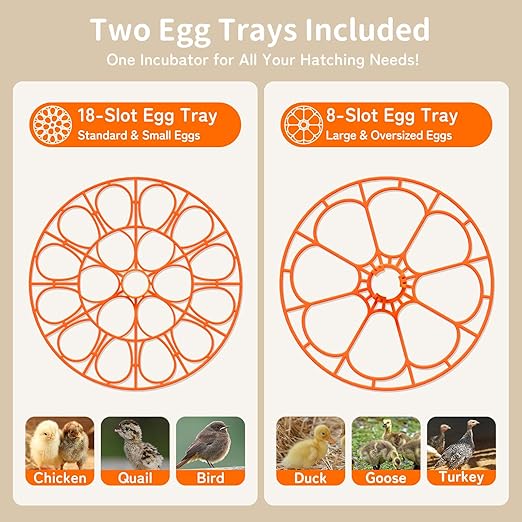 18 Egg Incubator, 2 Egg Trays, Automatic Egg Turning with Auto Stop, Humidity Control, Adjustable Incubation Day & Period, Auto Water Refill, for Chicken, Quail, Duck & Turkey Eggs, APDOE HatchPro 18 - Image 3