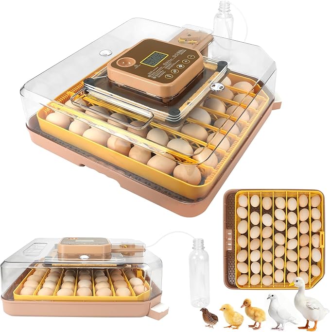 Master 48 Egg Incubator for Breeders, Fully Automated, Accurate Humidity & Temp Control, Chick Separator, Flexible Egg Spacing, Custom Incubation Days, Auto Turning & Auto Stop, Easy Monitoring by Unknown