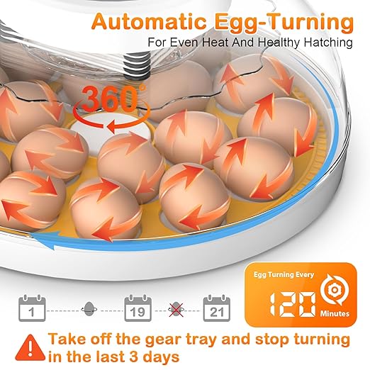 18 Egg Incubator with Automatic Egg Turning and Humidity Control, Incubators for Hatching Eggs, Incubator for Farm Science Classroom Home Chicken Duck - Image 2