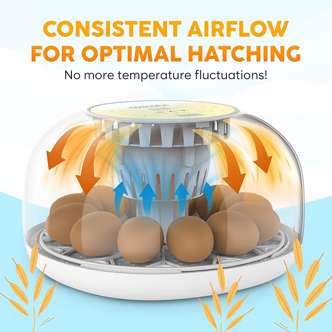 Okkobi M12 Egg Incubator with Automatic Turner and Humidity Control - 12/24 Eggs, 360° View, Easy to Use and Clean - Incubadora de Huevos de Gallina - Incubators for Hatching - White & Yellow - Image 7