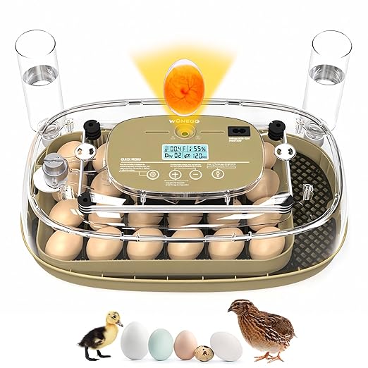 24 Incubators for Hatching Eggs, Egg Incubator with Humidity Control & Digital Temperature, Automatic Egg Turner, Hatch Day, Auto Water Refill, 360°Viewing for Chicken, Duck, Quail, Duck, Goose by Unknown