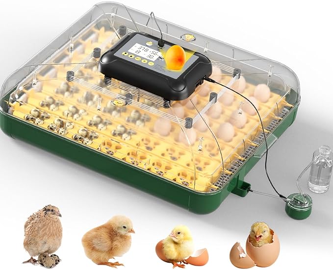 63 Egg Incubator for Hatching Eggs with Automatic Egg Turning, Temperature & Humidity Display, Hatch Day Countdown, Auto Water Refilling System, Egg Candler, Multifunctional Egg Tray for Chicken by DETODDA