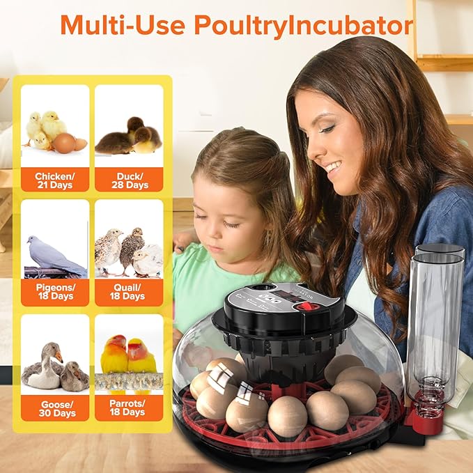 Incubator with Automatic Egg Turning and Humidity Control, Incubators for Hatching Eggs, Chicken, Ducks, Goose, Pigeon, Quail, Parrot Incubator for Farm, Lab, Science Classroom, Home - Image 6