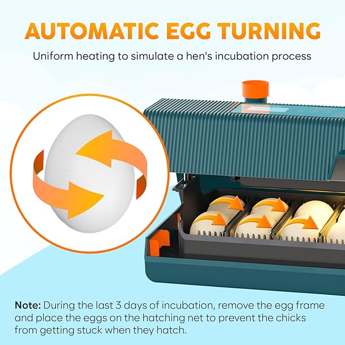 Incubator for Hatching Eggs - Ideal for All Ages - Automatic Turner and Humidity Control - Integrated Candler - 10 Eggs - Okkobi M10 - Green & Orange - Image 5