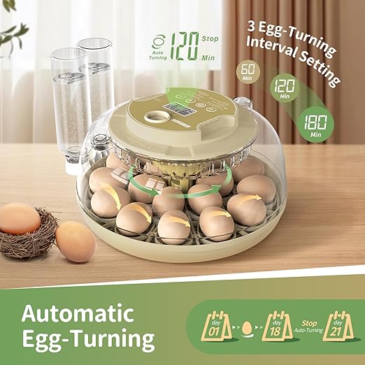 Large Capacity Egg Incubator for Hatching Eggs with Automatic Egg Turner, Adjustable Humidity & LED Display, Clear Lid Incubator for Chicken, Quail & Poultry Eggs (18 Chicken Eggs) - Image 5