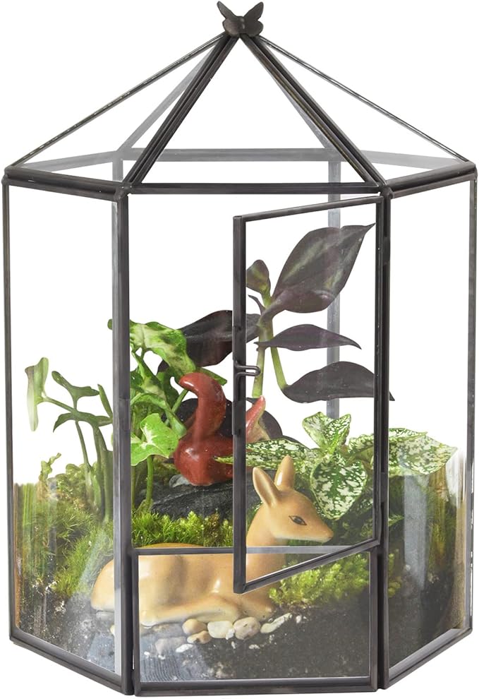 ELEGANTLIFE Glass Geometric Plant Terrarium,Succulent & Air Planter for Home Garden Office Decoration,No Plants(Black Hexagonal) by ELEGANTLIFE