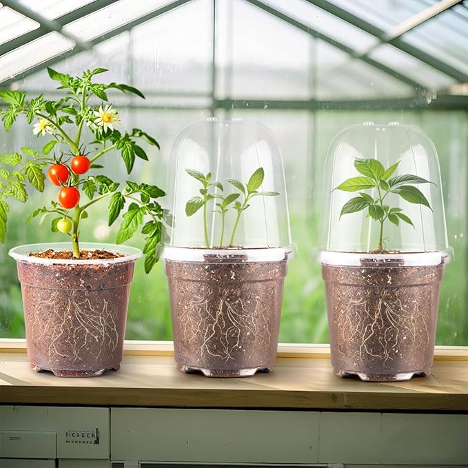 6 Inch Clear Nursery Pots with Humidity Dome, 15 Pack Durable Seed Starting Pot with Drainage Holes, Transparent Plastic Plant Seedling Pots for Indoor Gardening Plants - Image 7