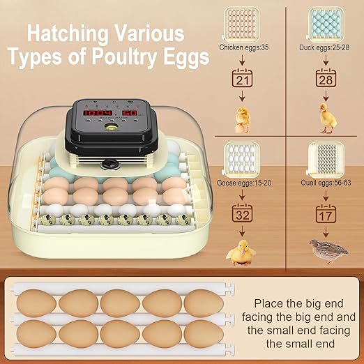 35 Eggs Incubators for Hatching Eggs,Egg Incubator with Automatic Egg Turning and Humidity Control,Chicken Egg Incubator with Egg Candler, Incubator for Chicken, Duck, Goose, Pigeon, Quail - Image 4