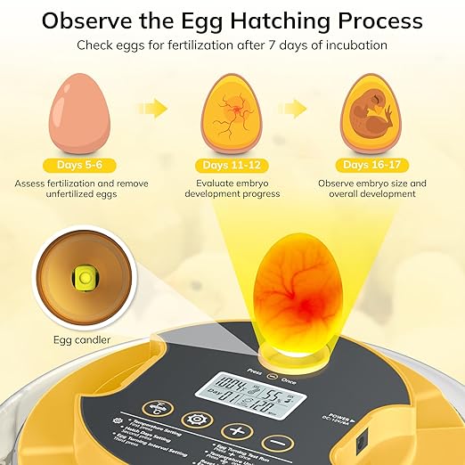 18 Egg Incubator with Automatic Egg Turning and Humidity Control, Chicken Incubator for Hatching Eggs with Temperature Display, Auto Record, Egg Candler, Extra 2 Water Bottles & 2 Egg Trays - Image 5