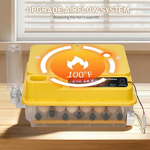 Winado Incubators for Hatching Eggs, 30 Egg Incubator with Automatic Egg Turning, Temperature & Humidity Control, Egg Candler, Automatic Water Filling and Day Counter for Eggs Hatching - Image 3