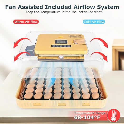 Incubators for Hatching Eggs, 56 Eggs Incubator with Egg Candler, Auto Egg Turner, Temp & Humidity Control, Hatch Day, 360° Viewing for Chicken, Duck, Quail Eggs, Ideal for Farm, School and Lab - Image 2