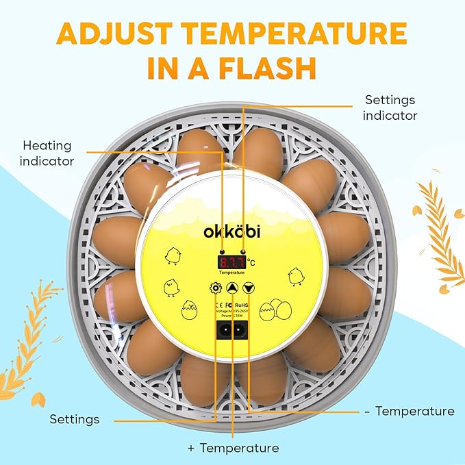 Okkobi M12 Egg Incubator with Automatic Turner and Humidity Control - 12/24 Eggs, 360° View, Easy to Use and Clean - Incubadora de Huevos de Gallina - Incubators for Hatching - White & Yellow - Image 2