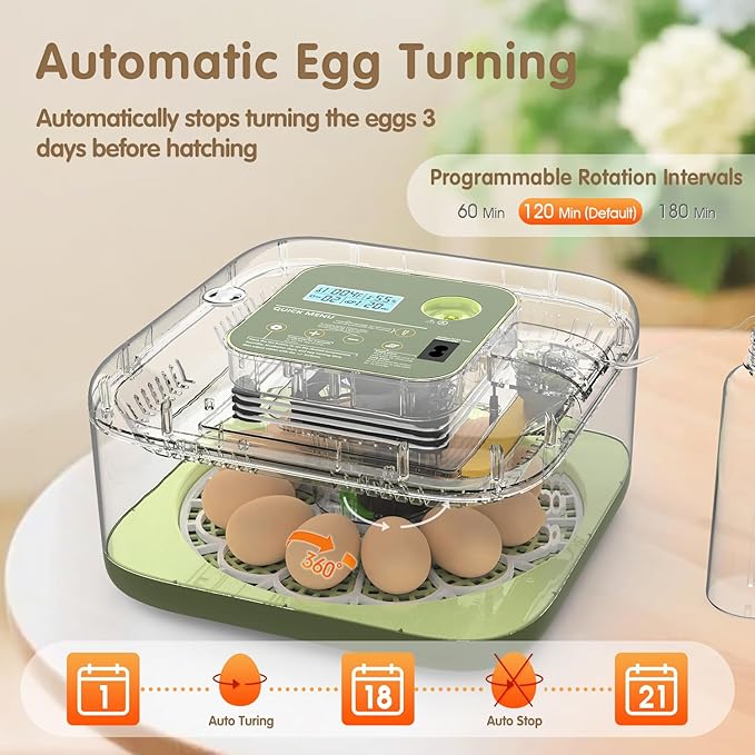 12 Egg Incubator with Automatic Turning, Temperature and Humidity Control, LED Egg Candler, and Auto Water Addition, for Hatching Chicken, Goose, Duck, Quail, Pigeon, and Turkey Eggs - Image 6