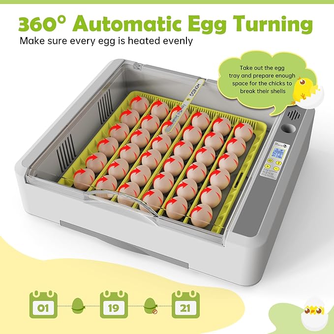 Egg Incubator for Hatching Chicks, 36 Eggs Automatic Turner with Temperature & Humidity Control, Multifunctional Ultra-Clear Panoramic View with Hatch Days & Egg Candler for Chicken, Duck, Goose, Bird - Image 4