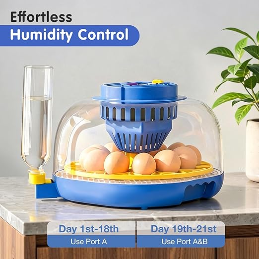 Chicken Egg Incubators for Hatching Eggs, 12 Egg Incubator with Automatic Egg Turning and Humidity Control – Chicken Incubators for Hatching Eggs with 360° View/Candler/Water Bottle Refill/Air Vent - Image 3