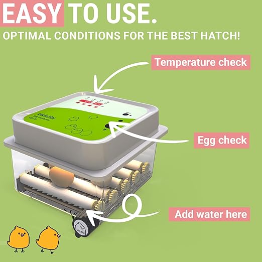 Incubators for Hatching Eggs - 12 Eggs - Ideal All Ages | Egg Incubator with Automatic Egg Turning and Humidity Control - Integrated Egg Candler - Okkobi OBI-12 - Image 2