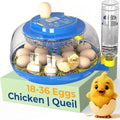 OtterVerz 11 Egg Incubators for Hatching 18-36 Chicken/Quail/Turkey Eggs, 360° View Poultry Incubator with Automatic Egg Turning and Humidity Control, Suitable for Farm, Classroom, Home by OtterVerz11