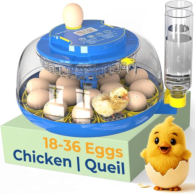 OtterVerz 11 Egg Incubators for Hatching 18-36 Chicken/Quail/Turkey Eggs, 360° View Poultry Incubator with Automatic Egg Turning and Humidity Control, Suitable for Farm, Classroom, Home by OtterVerz11