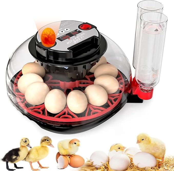 Incubator with Automatic Egg Turning and Humidity Control, Incubators for Hatching Eggs, Chicken, Ducks, Goose, Pigeon, Quail, Parrot Incubator for Farm, Lab, Science Classroom, Home by MYMULIKEHOME