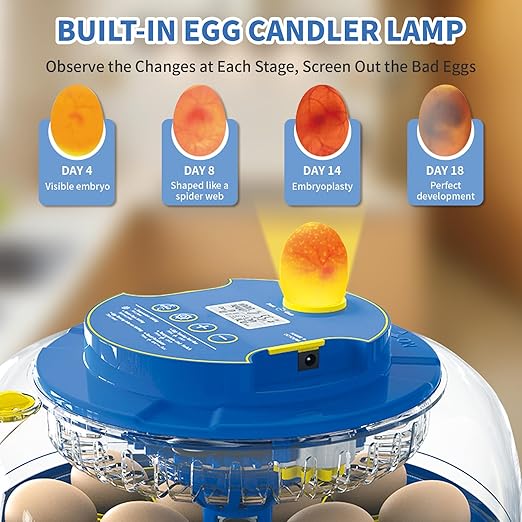 18 Egg Incubator with Automatic Egg Turning & Humidity Control - Perfect for Hatching Chicken, Duck, and Quail Eggs | 360° Viewing Window, Temperature Control, Ideal for Farm, Lab - Image 2