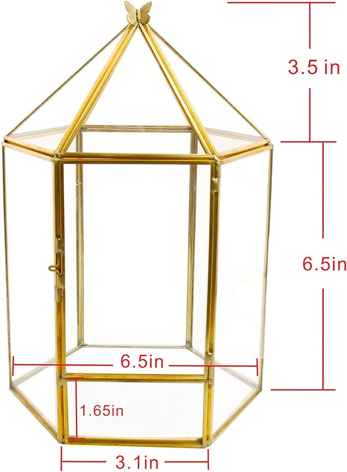 ELEGANTLIFE Glass Geometric Plant Terrarium,Succulent & Air Planter for Home Garden Office Decoration,No Plants(Gold Hexagonal) - Image 4