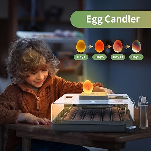Egg Incubators for Hatching Eggs, Egg Incubator with Automatic Egg Turning and Humidity Control, Quail Eggs Chicken Egg Incubator (48 Eggs) - Image 5