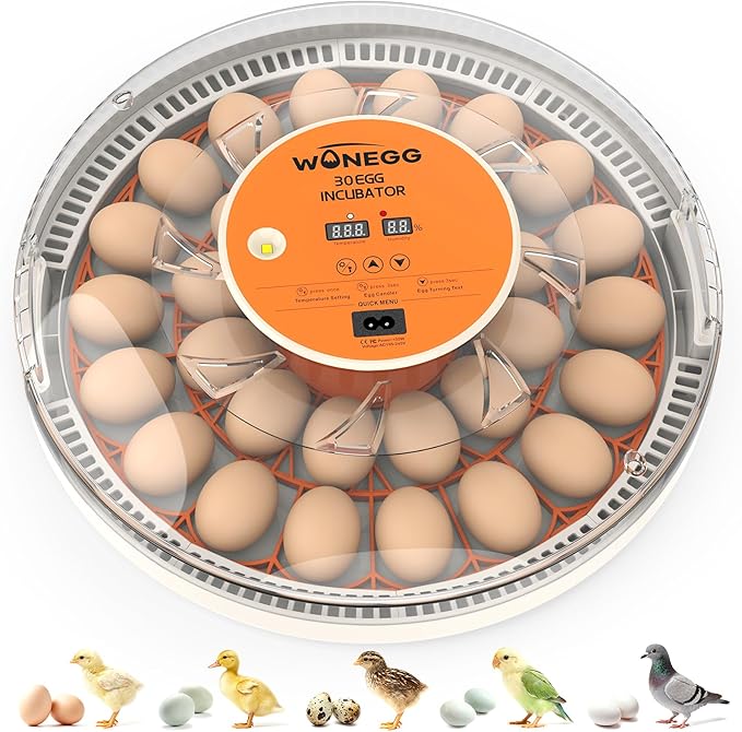 30 Egg Incubators for Hatching Eggs with Automatic Egg Turner, Auto Temperature Control, LED Candling, Humidity Monitor, 360° Viewing for Chicken Quail Parrot Birds by WONEGG