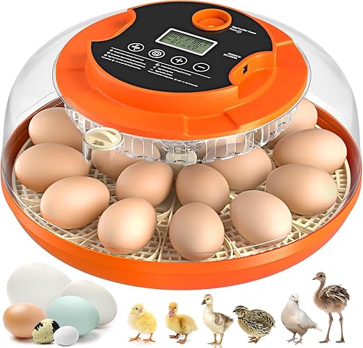 18 Egg Incubator with Automatic Egg Turning and Humidity Control, Eggs Incubators for Hatching Eggs Chicken Quail Ducks Goose Parrot for Home Classroom Lab Farm by Onsju