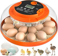 18 Egg Incubator with Automatic Egg Turning and Humidity Control, Eggs Incubators for Hatching Eggs Chicken Quail Ducks Goose Parrot for Home Classroom Lab Farm by Onsju