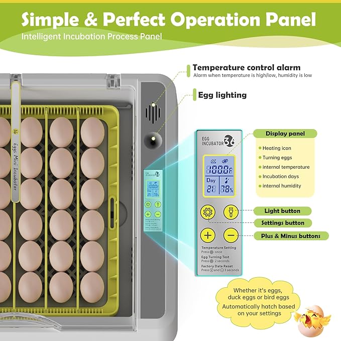 Egg Incubator for Hatching Chicks, 36 Eggs Automatic Turner with Temperature & Humidity Control, Multifunctional Ultra-Clear Panoramic View with Hatch Days & Egg Candler for Chicken, Duck, Goose, Bird - Image 3