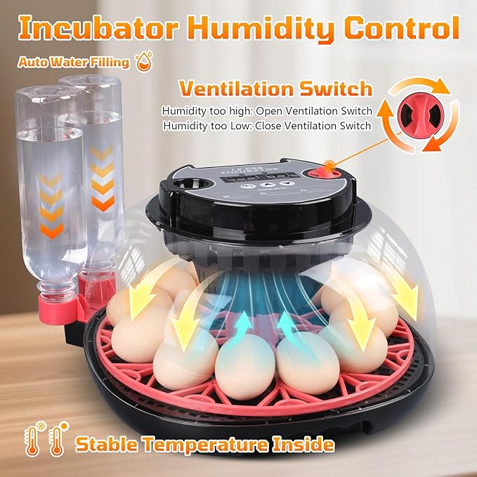 12-Egg Incubator, Automatic Egg Turning Function, Humidity Control, External Water Bottle for Watering, 360° Observation, Suitable for Chickens, Ducks, Geese, and Quails - Image 5