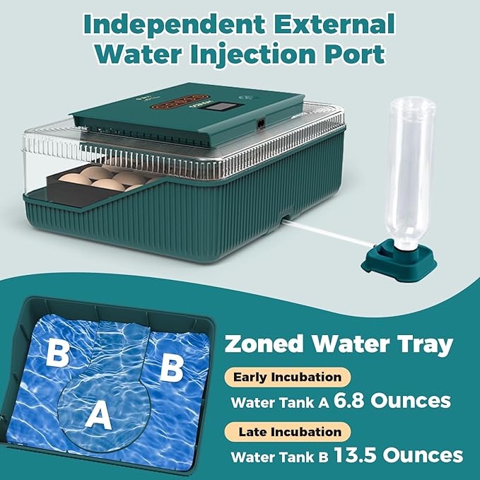 25 Eggs Incubator, Incubators for Hatching Eggs, with Automatic Egg Turning and Humidity Control, Egg Candler, Auto Water Replenishment, for Hatching Quail, Chicken, Duck, Goose Eggs (Dark Green) - Image 5