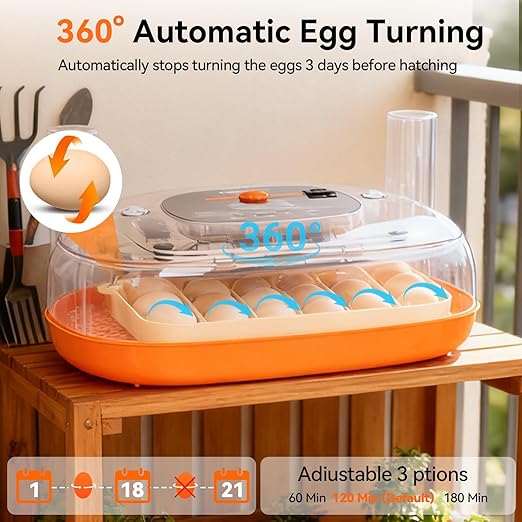 Incubators for Hatching Eggs, 24 Egg Incubator, Automatic Egg Turner with Humidity Control & Digital Temperature, Hatch Day, Auto Water Refill, 360°Viewing for Chicken, Duck, Quail, Duck, Goose - Image 2