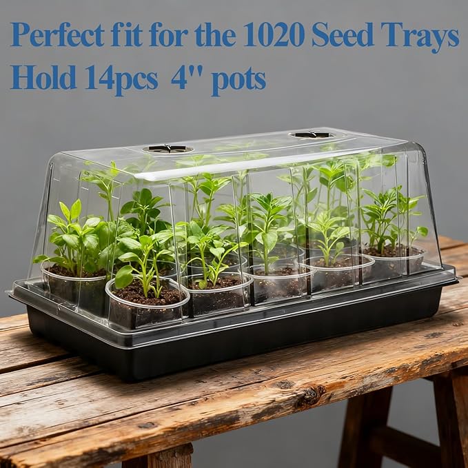 1020 Plant Tray with Tall 7.3'' Dome, 5-Pack Extra Large Seed Starter Tray with Humidity Domes, Heavy Duty 1020 Trays and Flats with Lid, Seed Germination Mini Greenhouse No Hole for Balcony Garden - Image 4