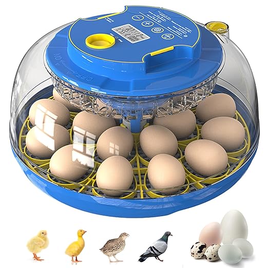 18 Egg Incubator for Hatching Chicken, Duck, Quail Eggs – 360° Visible Lid, Automatic Turning & Humidity Control, Built-in Egg Candler – Ideal for Home & Classroom Science Projects by Unknown