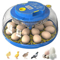 18 Egg Incubator for Hatching Chicken, Duck, Quail Eggs – 360° Visible Lid, Automatic Turning & Humidity Control, Built-in Egg Candler – Ideal for Home & Classroom Science Projects by Unknown