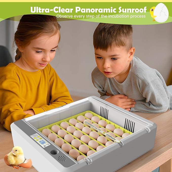 Egg Incubator for Hatching Chicks, 36 Eggs Automatic Turner with Temperature & Humidity Control, Multifunctional Ultra-Clear Panoramic View with Hatch Days & Egg Candler for Chicken, Duck, Goose, Bird - Image 7