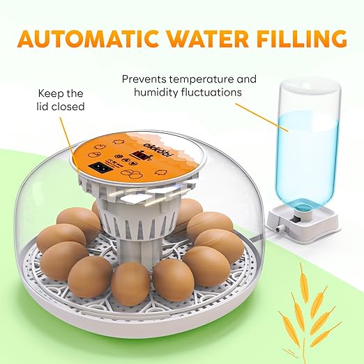 Okkobi M12 Egg Incubator with Automatic Turner and Humidity Control - 12/24 Eggs, 360° View, Easy to Use and Clean - Incubadora de Huevos de Gallina - Made for US - White & Orange - Image 3