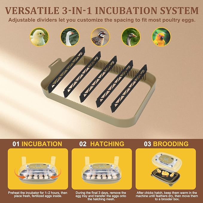 Smart 24-Egg Incubator for Hobbyists, Full-Stage Adaptive Humidity (Dual-Bottle) & Temp Control, Custom-Interval Auto Turn & Auto Stop, Preset Incubation Days, Adjustable Egg Spacing - Image 7