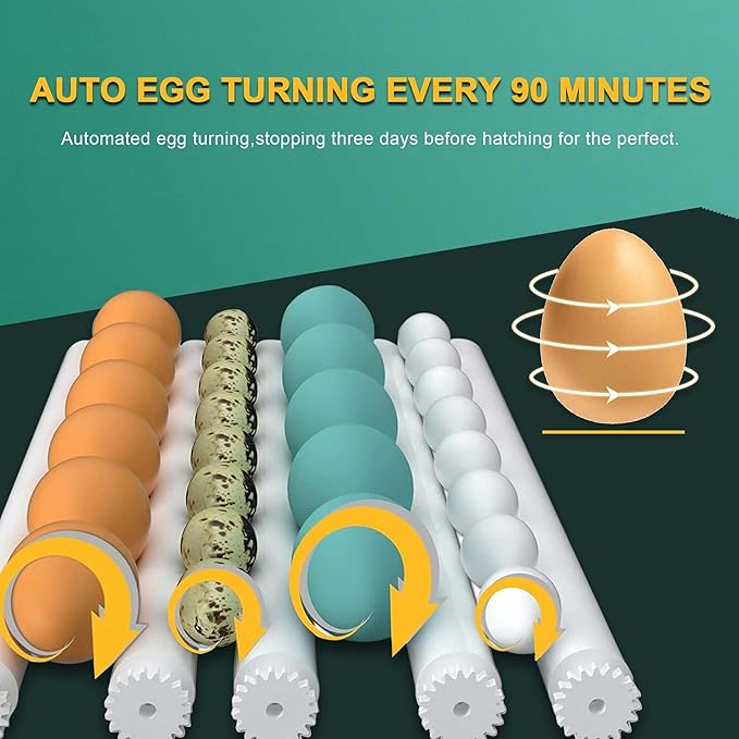 Choies 16 Egg Incubator,Incubators for Hatching Eggs,Automatic Egg Turning,Humidity Control,Automatic Water Adding,Incubator with Egg Candler,Quail Eggs Incubators for Hatching Chicken,Duck,Goose - Image 4