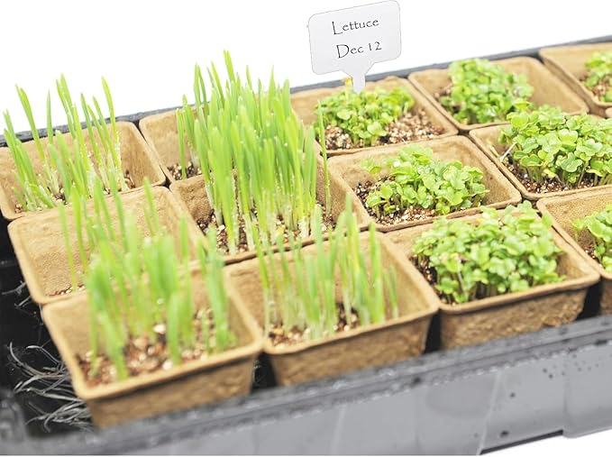 Seed Starter Kit with 100 Peat Pots for Seedlings Seed Starter Tray, 5 Plastic Growing Trays with Water Strainer 20 Plant Labels & 2 Garden Tools Outdoor or Indoor - Image 6