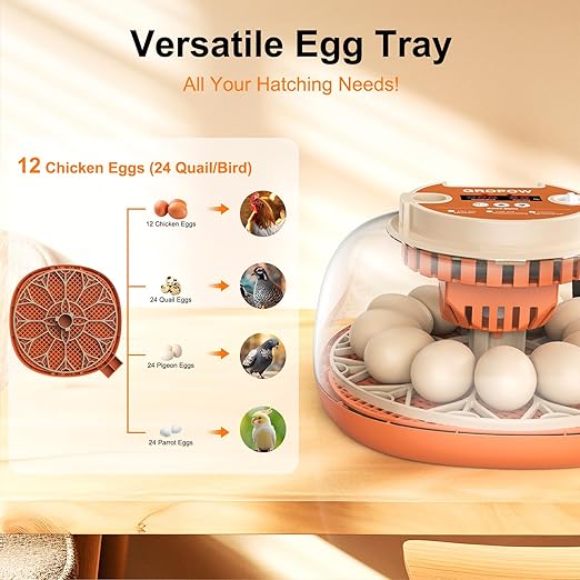 12 Egg Incubator, Automatic Turning with Temperature & Humidity Control, Egg Candler, 360 View with Air Vent, Auto Water Bottle Refill, Chicken Incubator for Hatching Eggs - Image 6