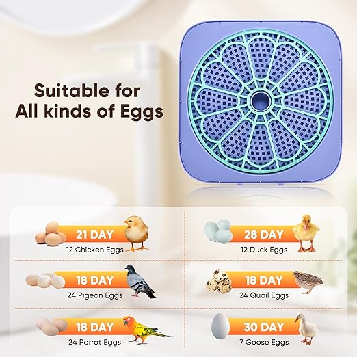 Incubators for Hatching Eggs, Smart Egg Incubator with Humidity & Temp Control and Auto Turner, 360° View Incubadora De Huevos De Gallina, Egg Candler, Incubator for Chicken Eggs, Ducks, Goose, Quail - Image 3